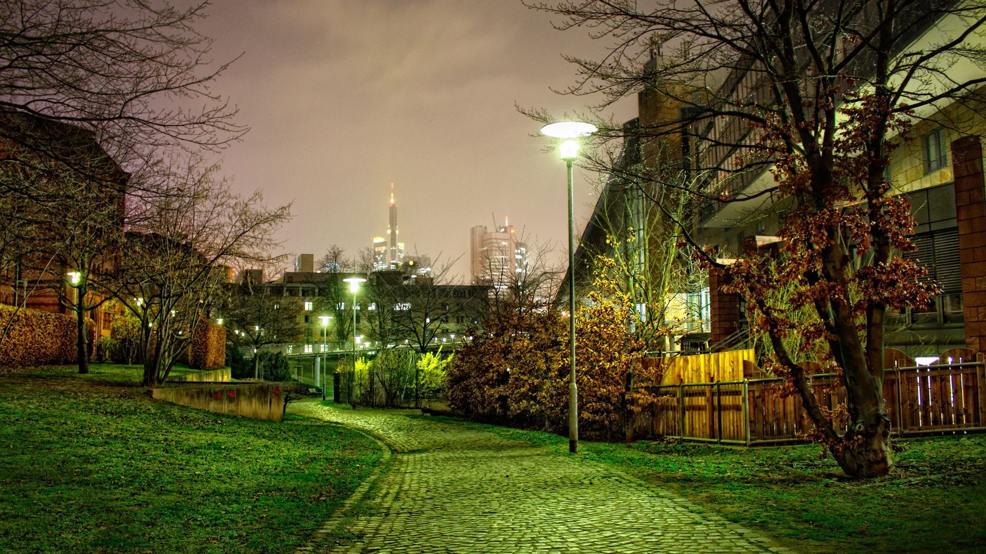 city tree park fall light nature landscape dawn grass garden