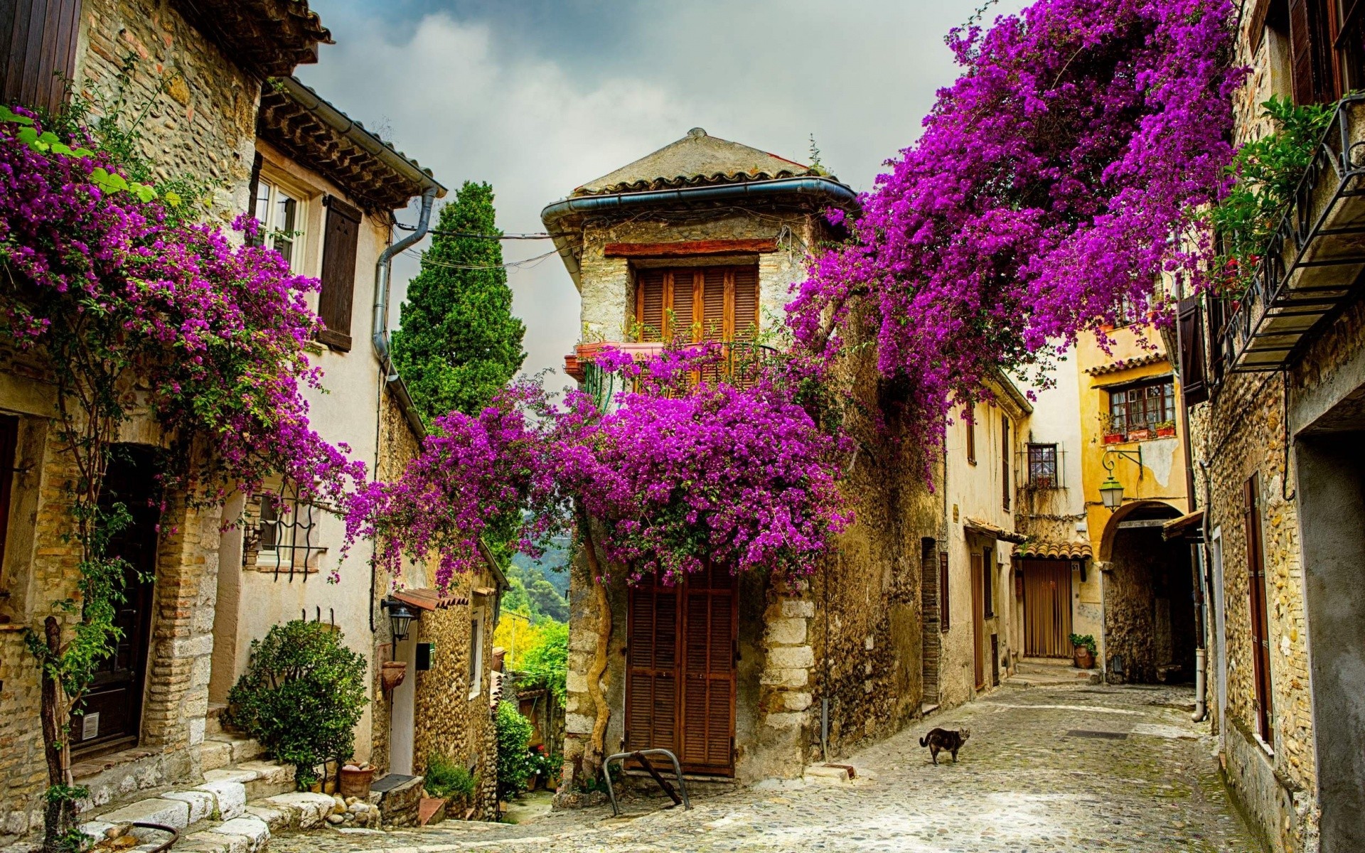 maison et intérieur architecture maison maison voyage rue extérieur ville vieux ancien ville traditionnel famille tourisme extérieur fleur fenêtre