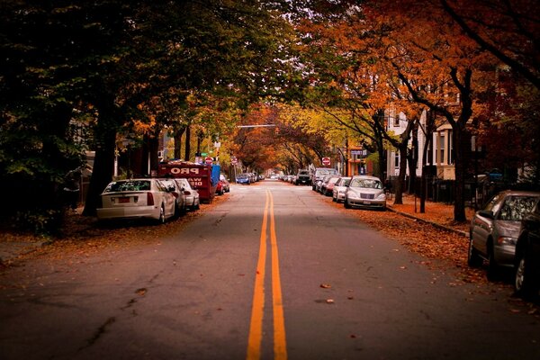 Architecture of roads on city streets