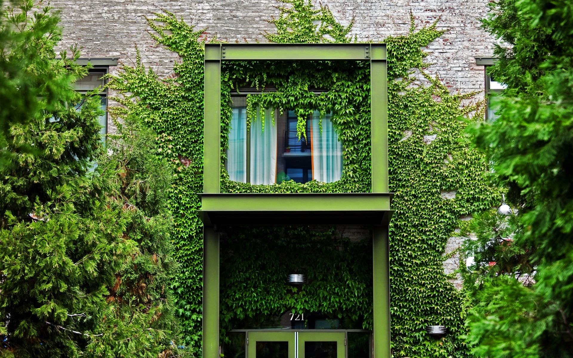 house and comfort house architecture window garden family ivy building wood outdoors exterior leaf old wall door