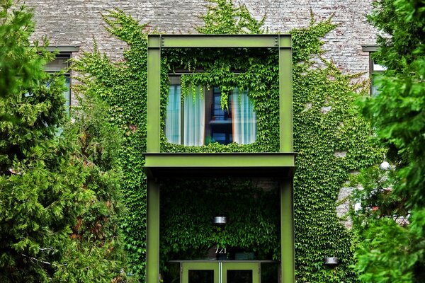 Beautifully overgrown with plants balcony