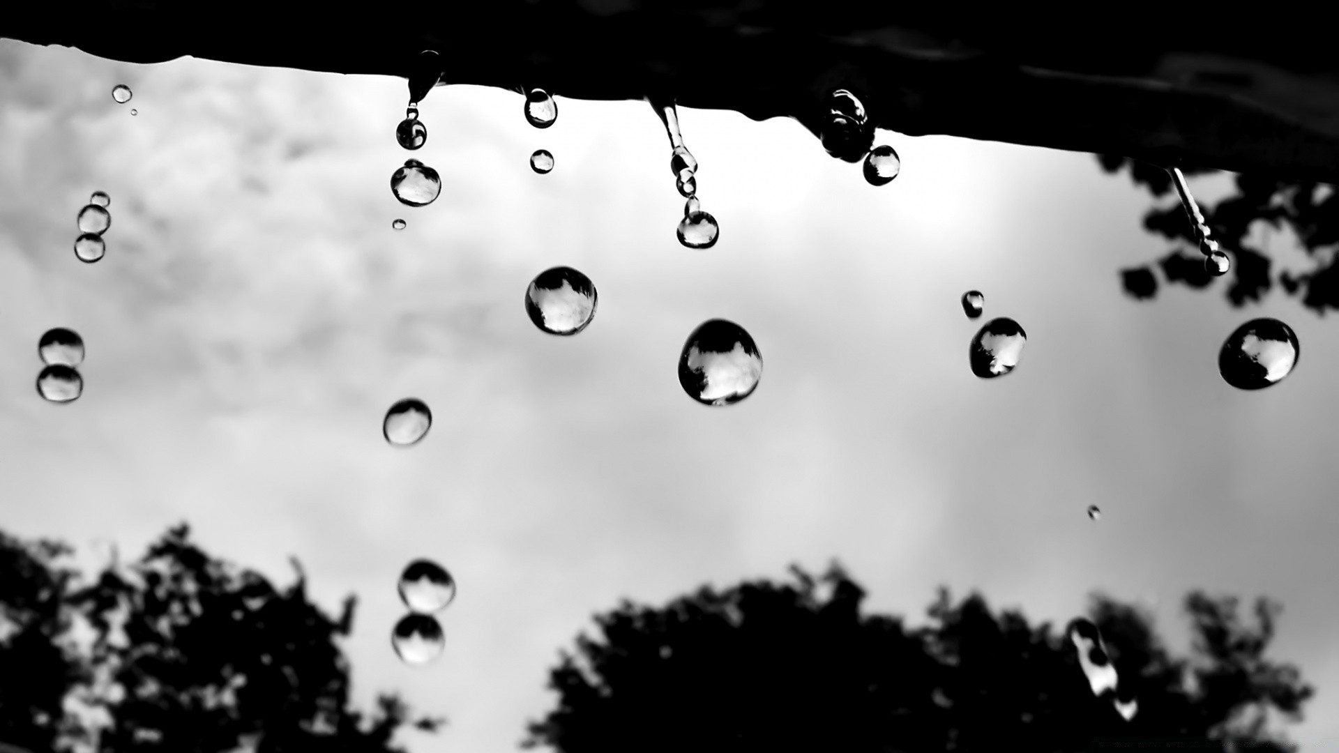 noir et blanc pluie chute bulle splash clair goutte à goutte bureau nature humide gouttes propre couleur liquide résumé lavage