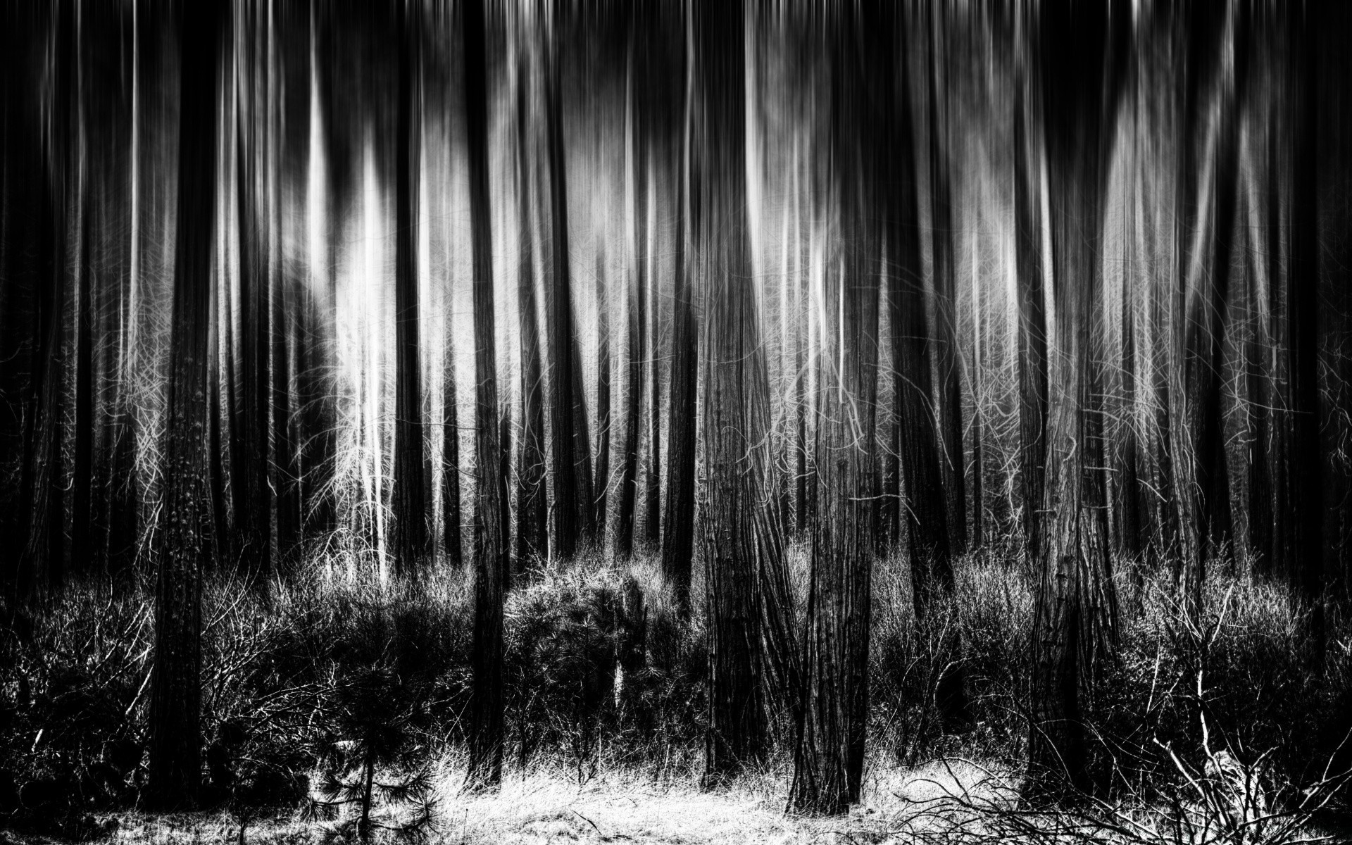 black and white desktop abstract nature monochrome texture bright design