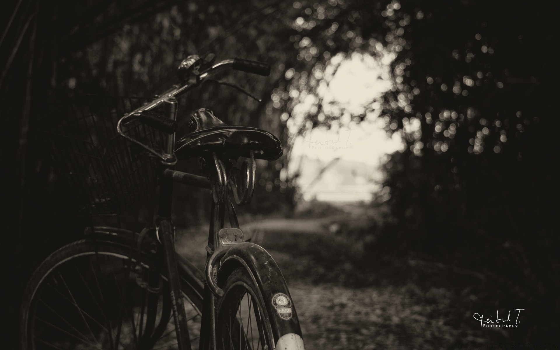 black and white wheel transportation system vehicle bike sitting outdoors one monochrome adult action dark