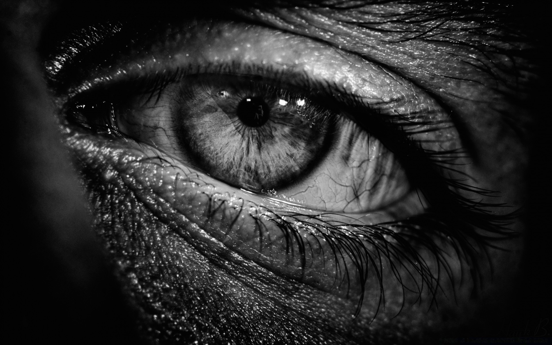 black and white portrait girl face monochrome woman eye model human eyeball adult skin fashion sexy eyelash solo close-up man dark one