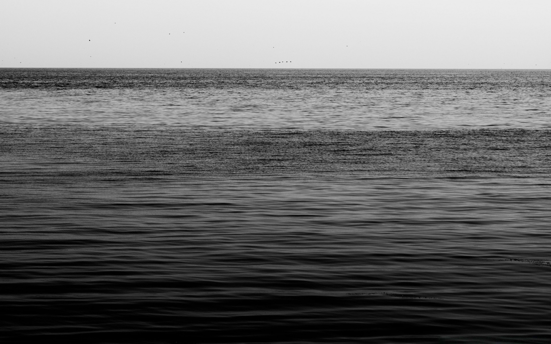 bianco e nero acqua mare oceano lago spiaggia paesaggio paesaggio riflessione tramonto struttura fiume natura