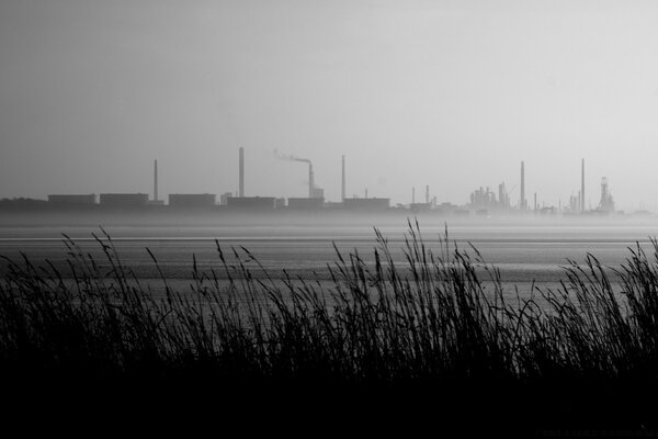 Vista dei tubi di fabbrica attraverso il campo