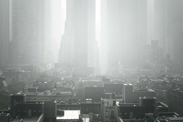 Gratte-ciels blancs noirs sur le fond de toute la ville