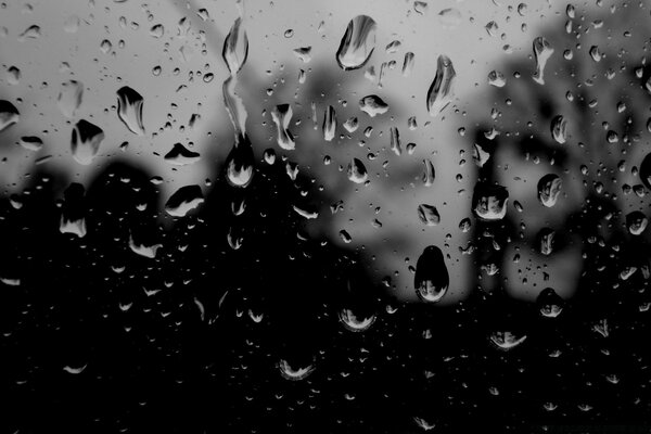 Water drops on black glass