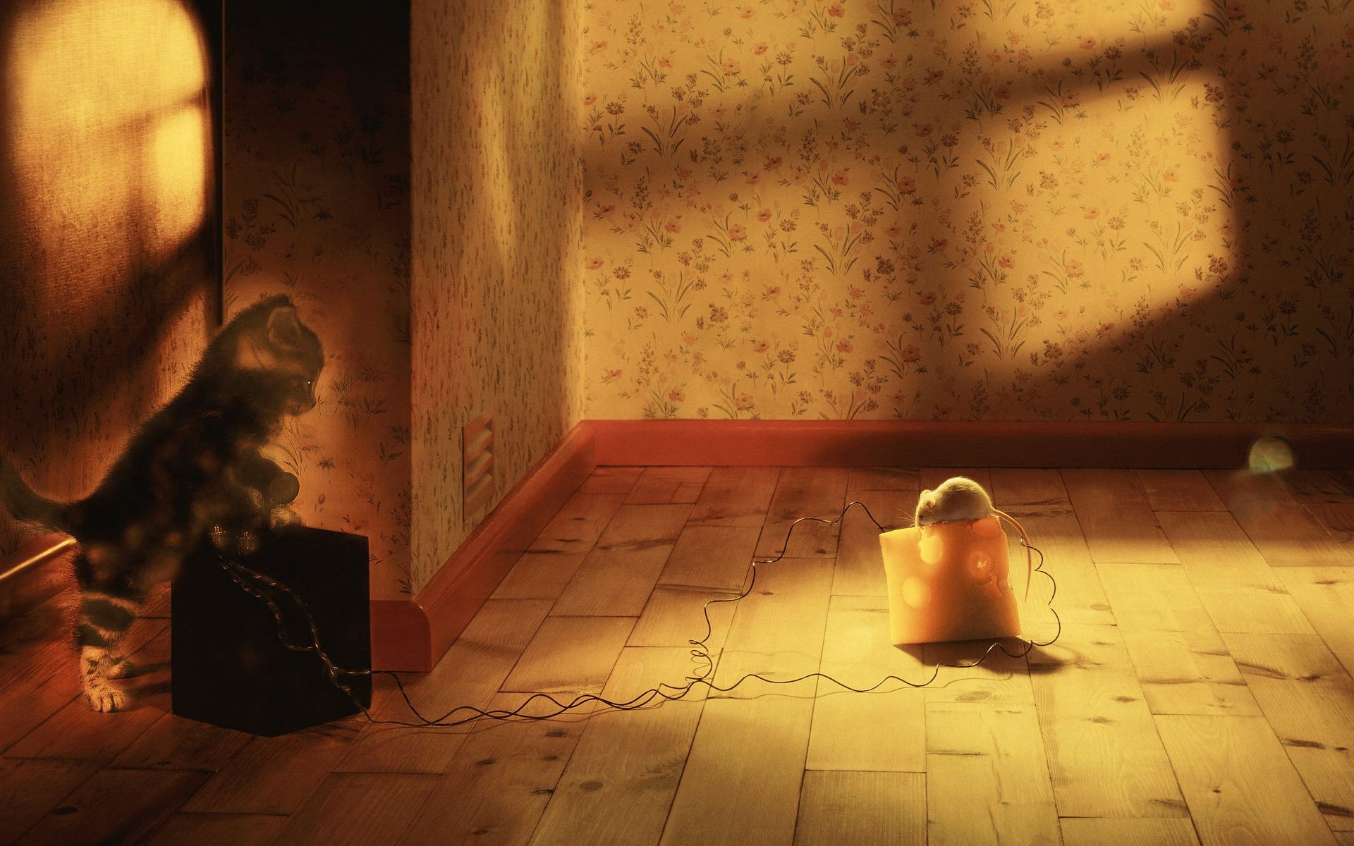 один в помещении номер взрослый свет девушка портрет ню женщина носить стены