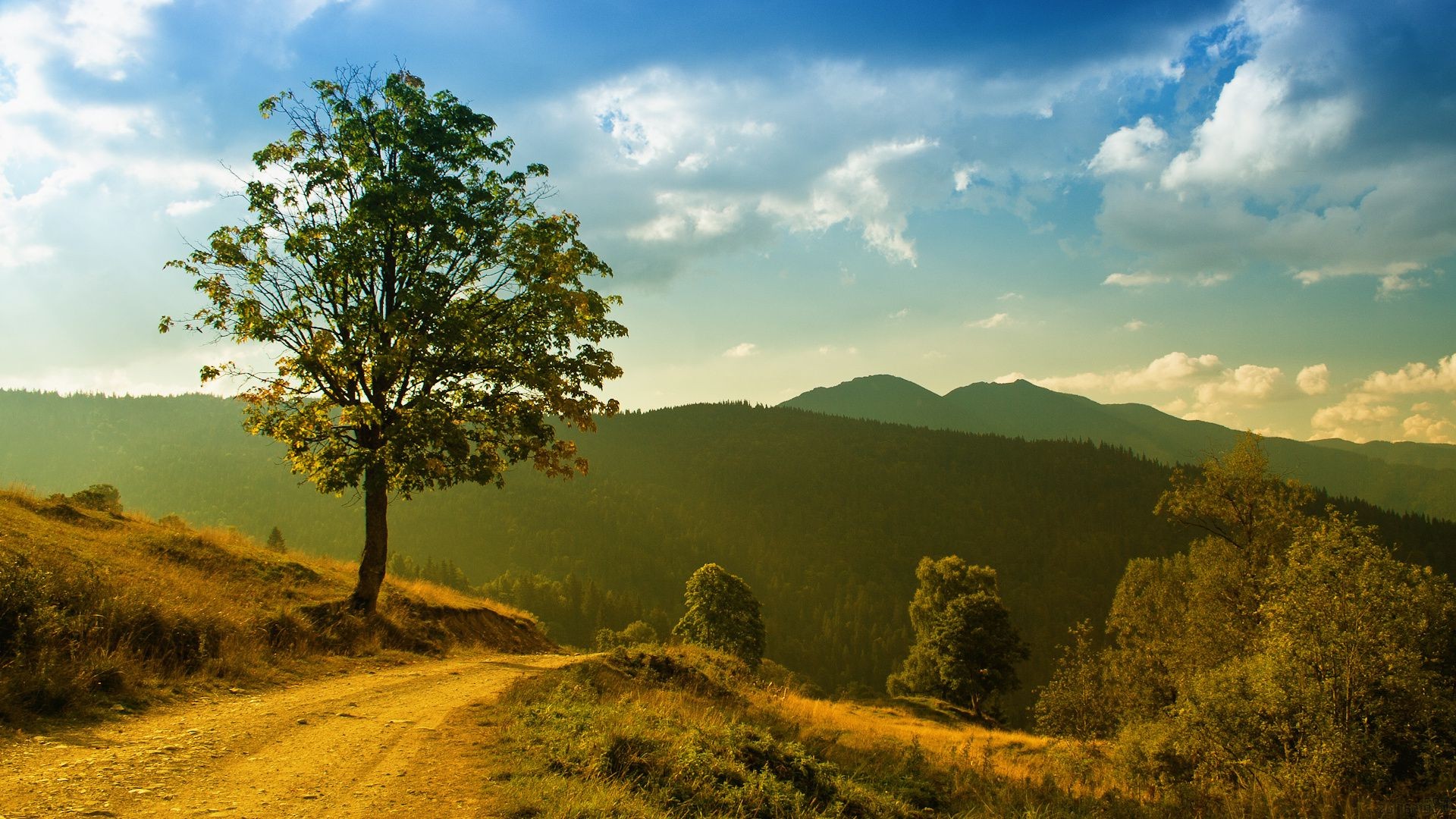 carretera paisaje árbol naturaleza cielo viajes puesta del sol al aire libre madera amanecer montañas sol buen tiempo escénico hoja verano