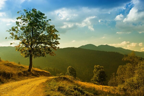 शांत स्वर में एक पेड़ के साथ एक आमंत्रित परिदृश्य