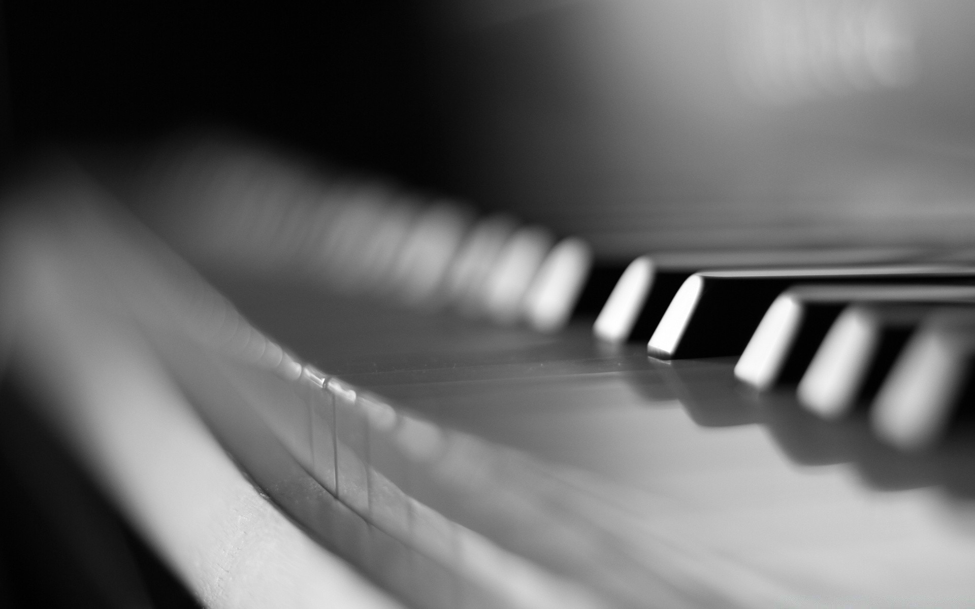 blanco y negro piano monocromo desenfoque jazz música ébano sonido resumen clave instrumento arte analógico teclado estudio dof gato acústico sintetizador brilla