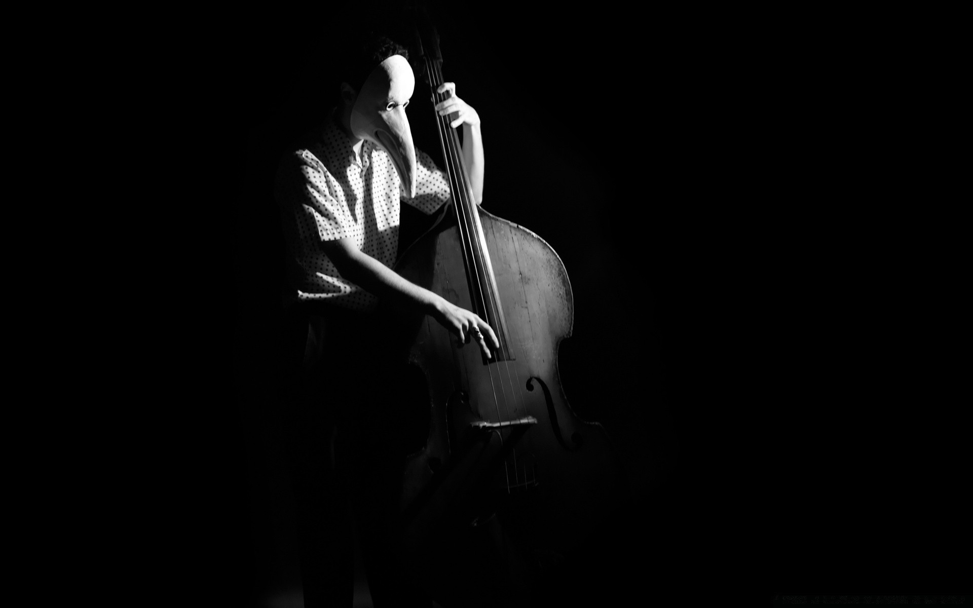 blanco y negro música músico concierto rendimiento solo instrumento mujer monocromo cantante hombre adulto banda oscuro