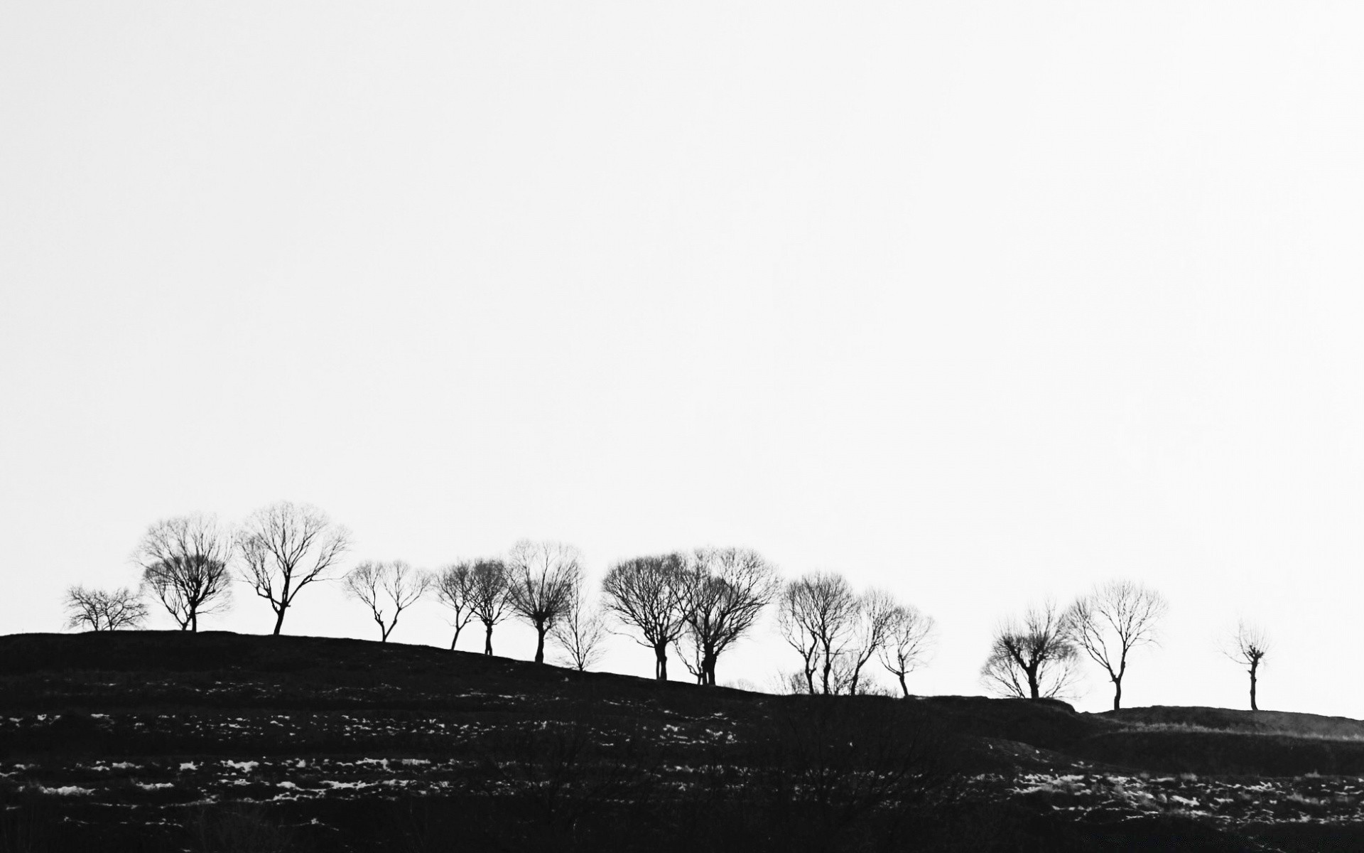 in bianco e nero nebbia paesaggio albero in bianco e nero nebbia inverno natura alba autunno neve cielo silhouette all aperto tramonto seppia luce