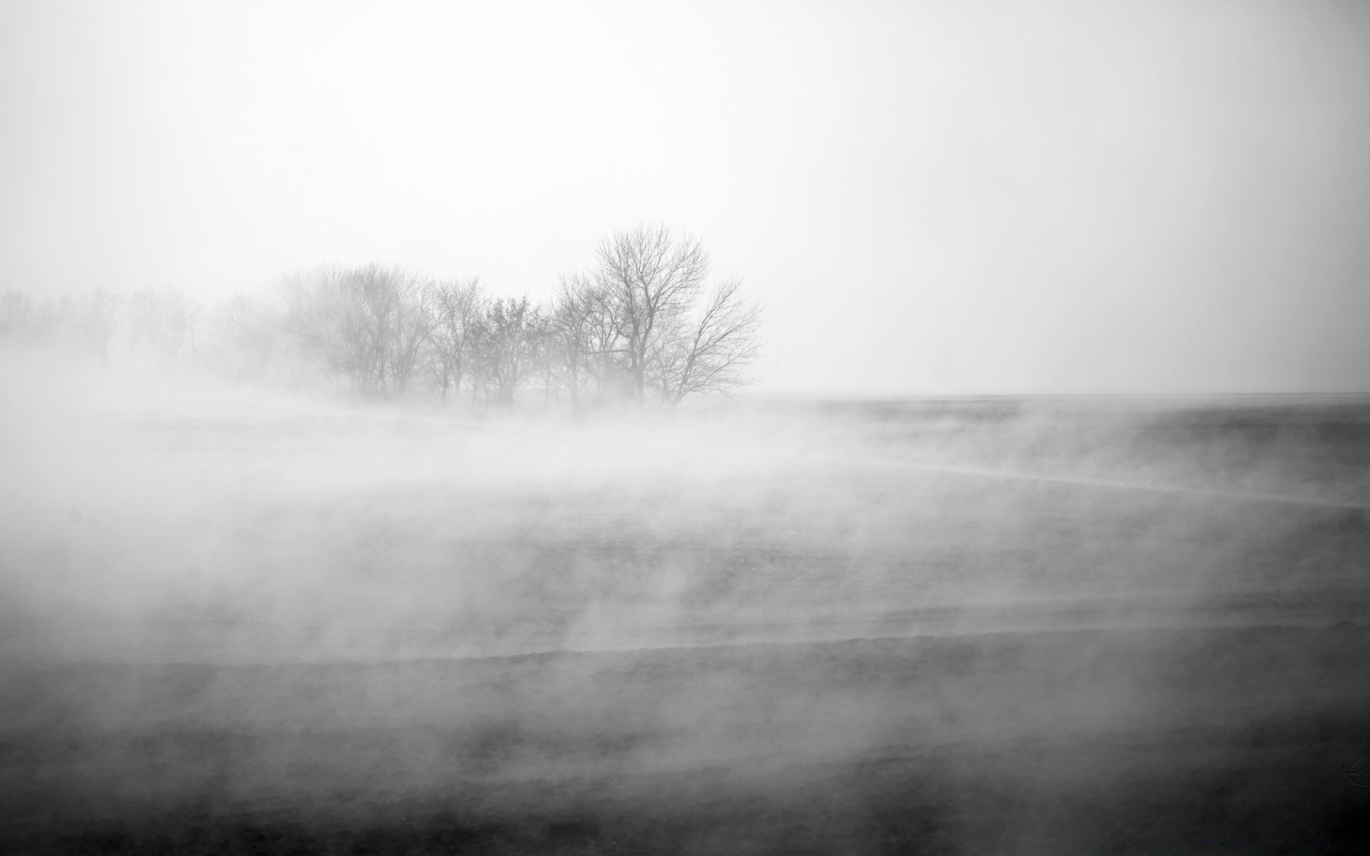 black and white fog landscape mist monochrome winter weather nature light storm tree moody rain wood water lake dawn sky