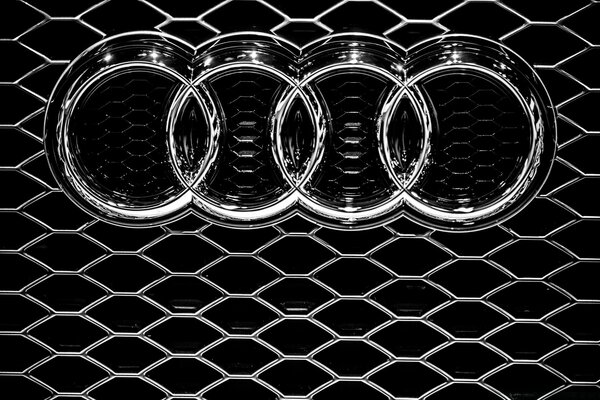 Conception de grille en acier noir et blanc Audi