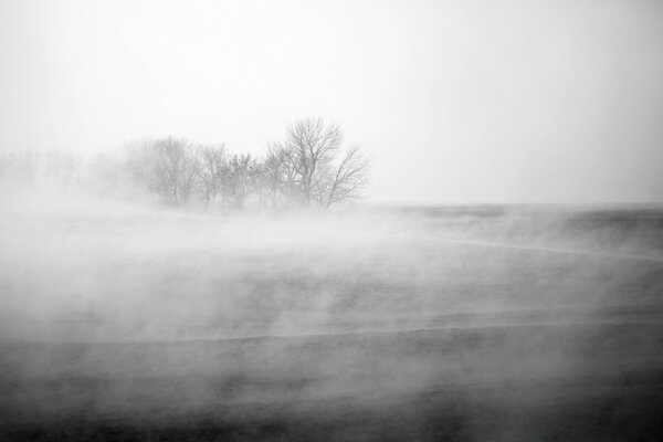 Paysage de brouillard noir et blanc