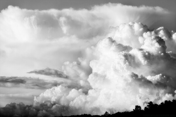 Black and white landscape of nature with forest and clouds