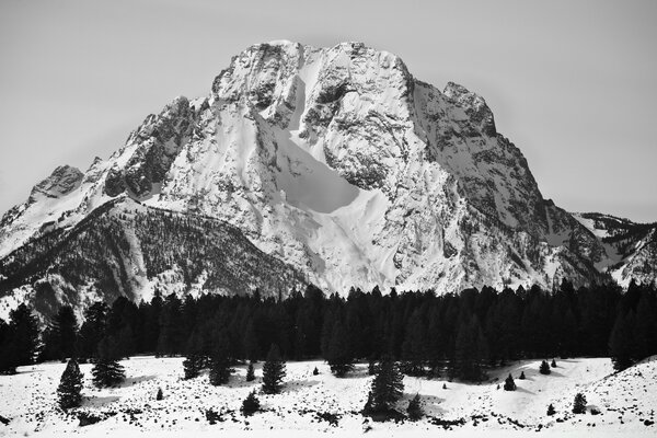 Hiver montagne beaucoup de neige arbre de Noël forêt