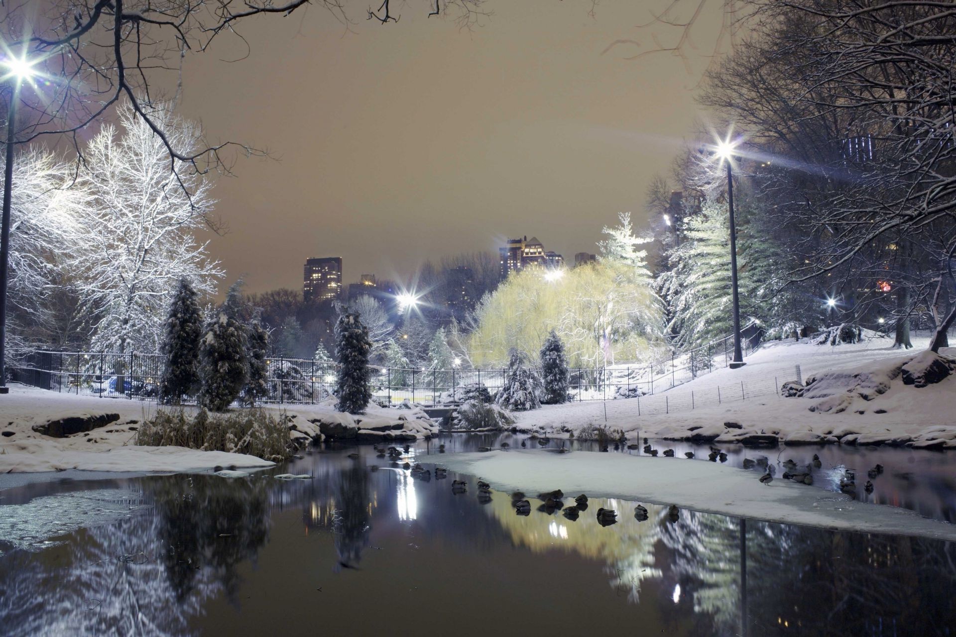 città inverno neve paesaggio freddo tempo ghiaccio congelato gelo luce albero riflessione alba nebbia acqua sera natale urbano viaggi