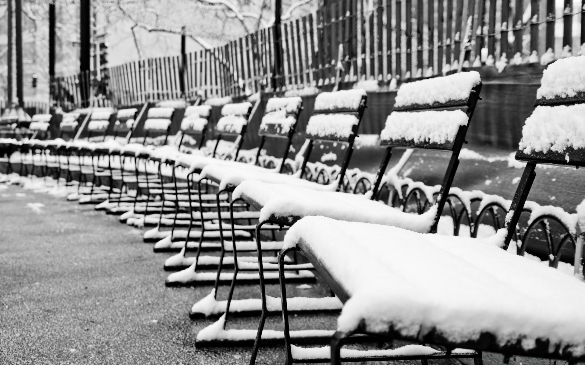 noir et blanc beaucoup groupe adulte chaise