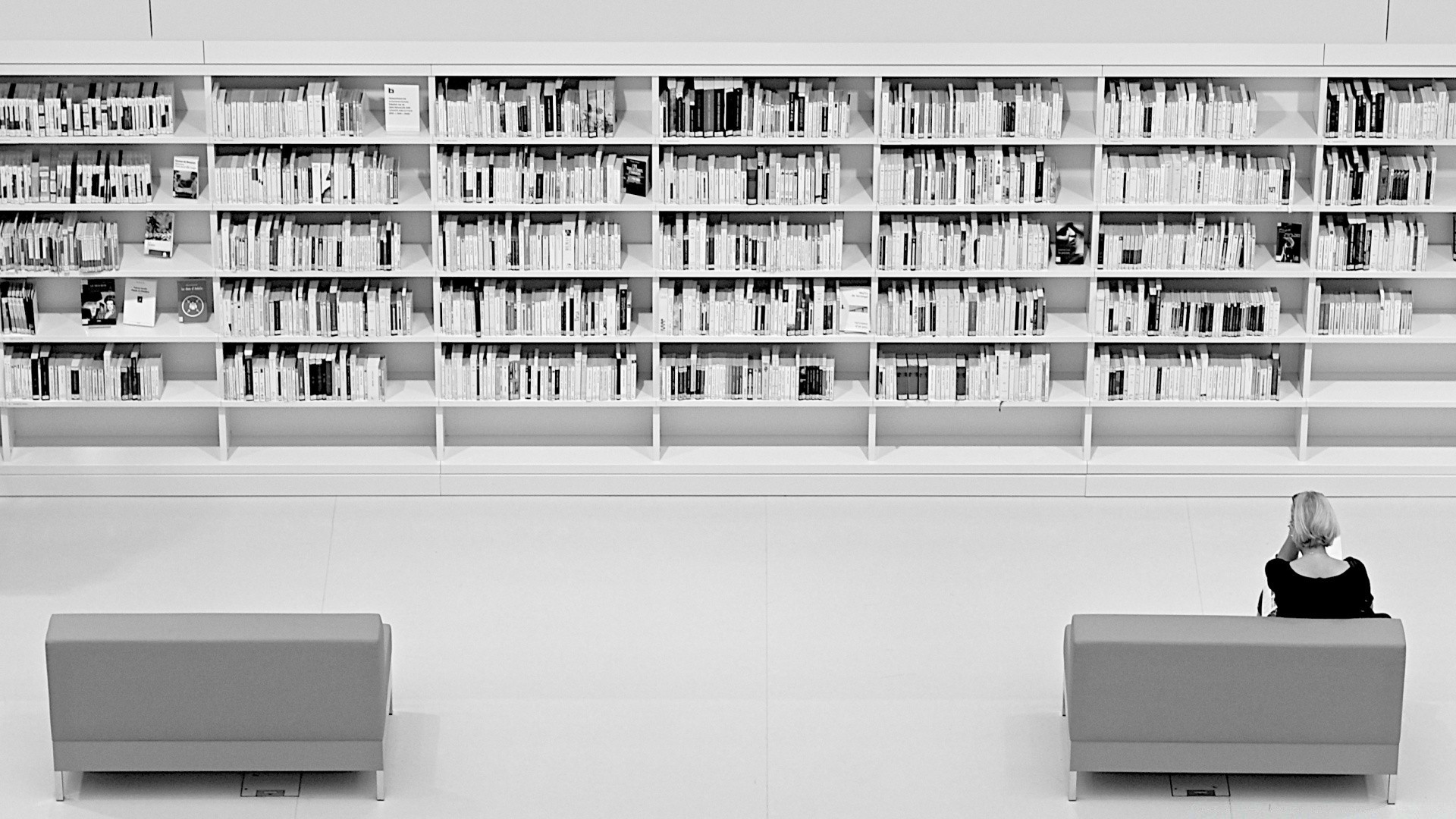 noir et blanc bibliothèque étagère bibliothèque chambre meubles famille à l intérieur éducation monochrome appartement