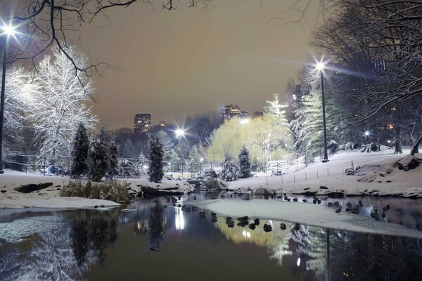 Winter garden with a river in the evening