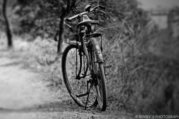 Foto branca de uma bicicleta na beira da estrada