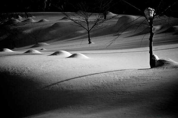 Rêve noir et blanc-perdu dans le désert