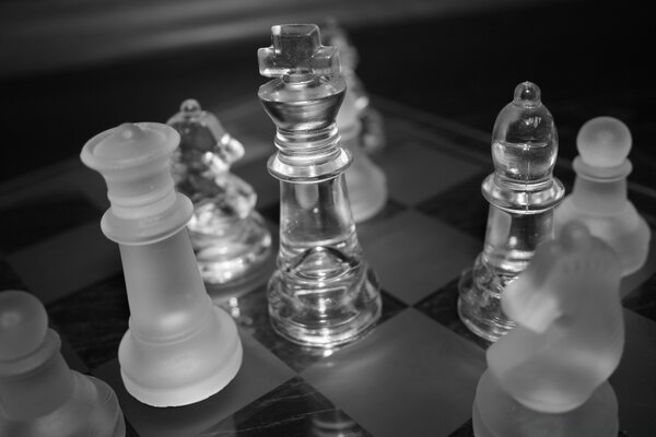 女王和骑士国际象棋策略