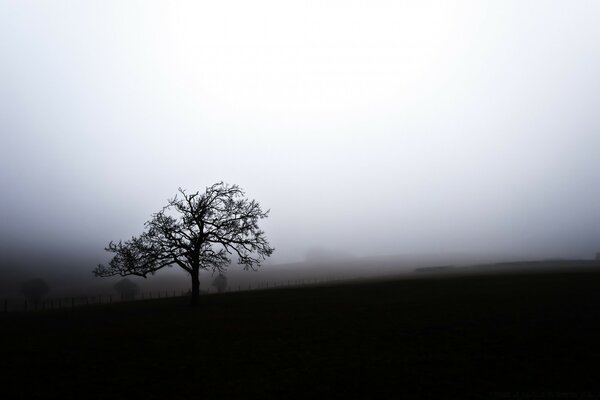 Et doucement sur la terre a commencé le brouillard