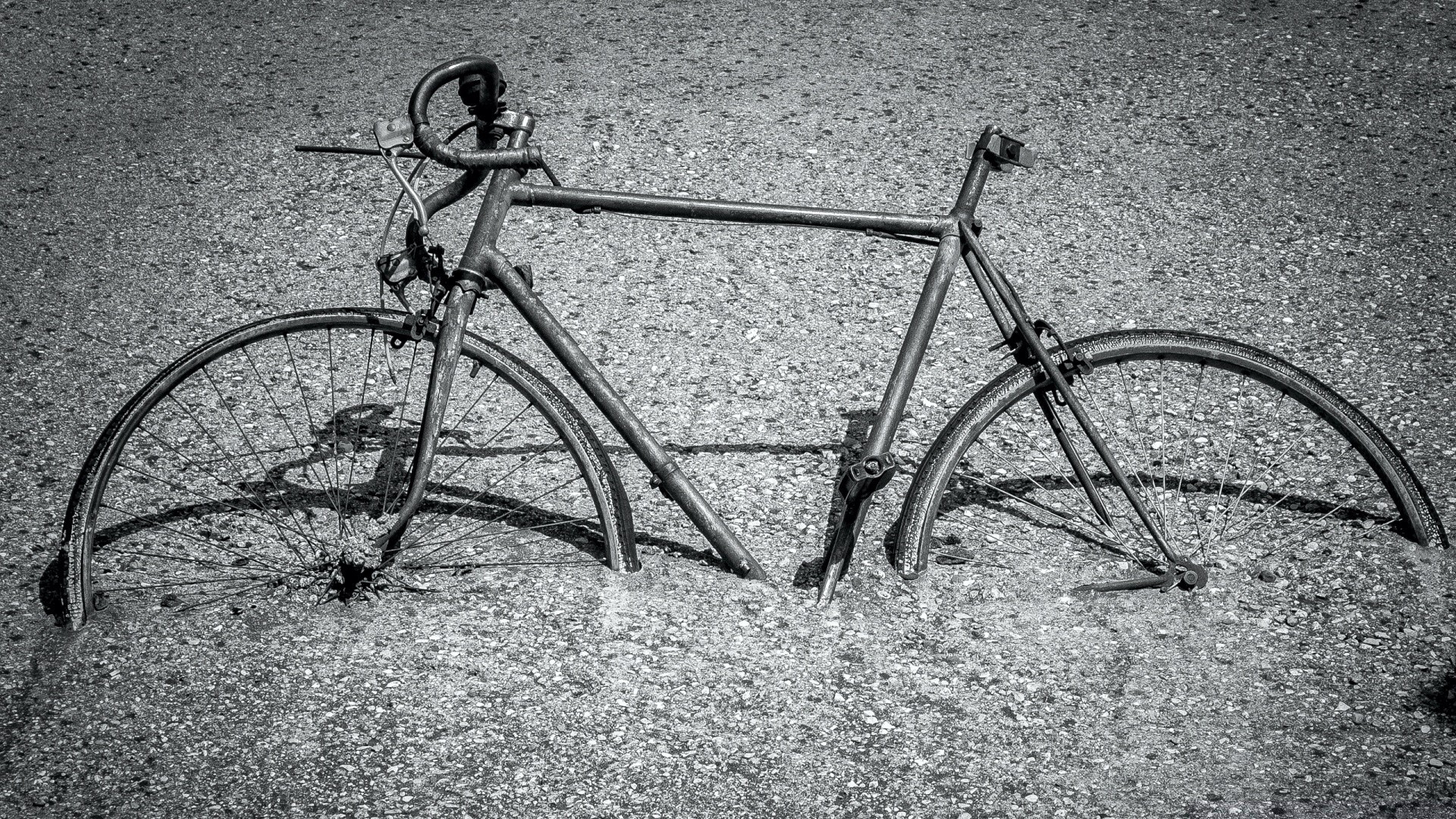 ruota in bianco e nero bicicletta auto ciclista sistema di trasporto seduto una strada in bianco e nero per il tempo libero all aperto per il tempo libero due bike biker