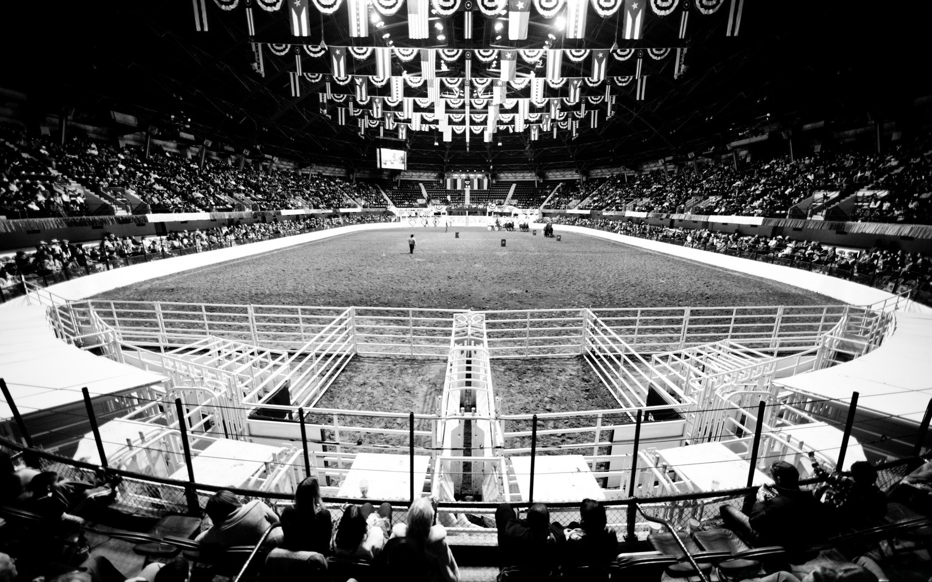 blanco y negro muchos estadio concurso multitud grupo tribuna lugar al aire libre