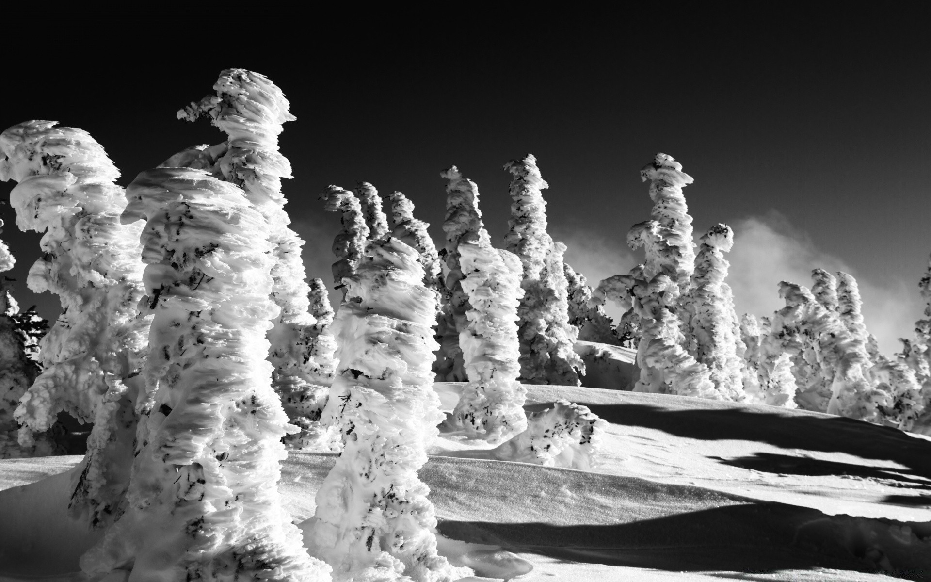 noir et blanc neige hiver glace froid gel nature voyage arbre à l extérieur paysage eau bois