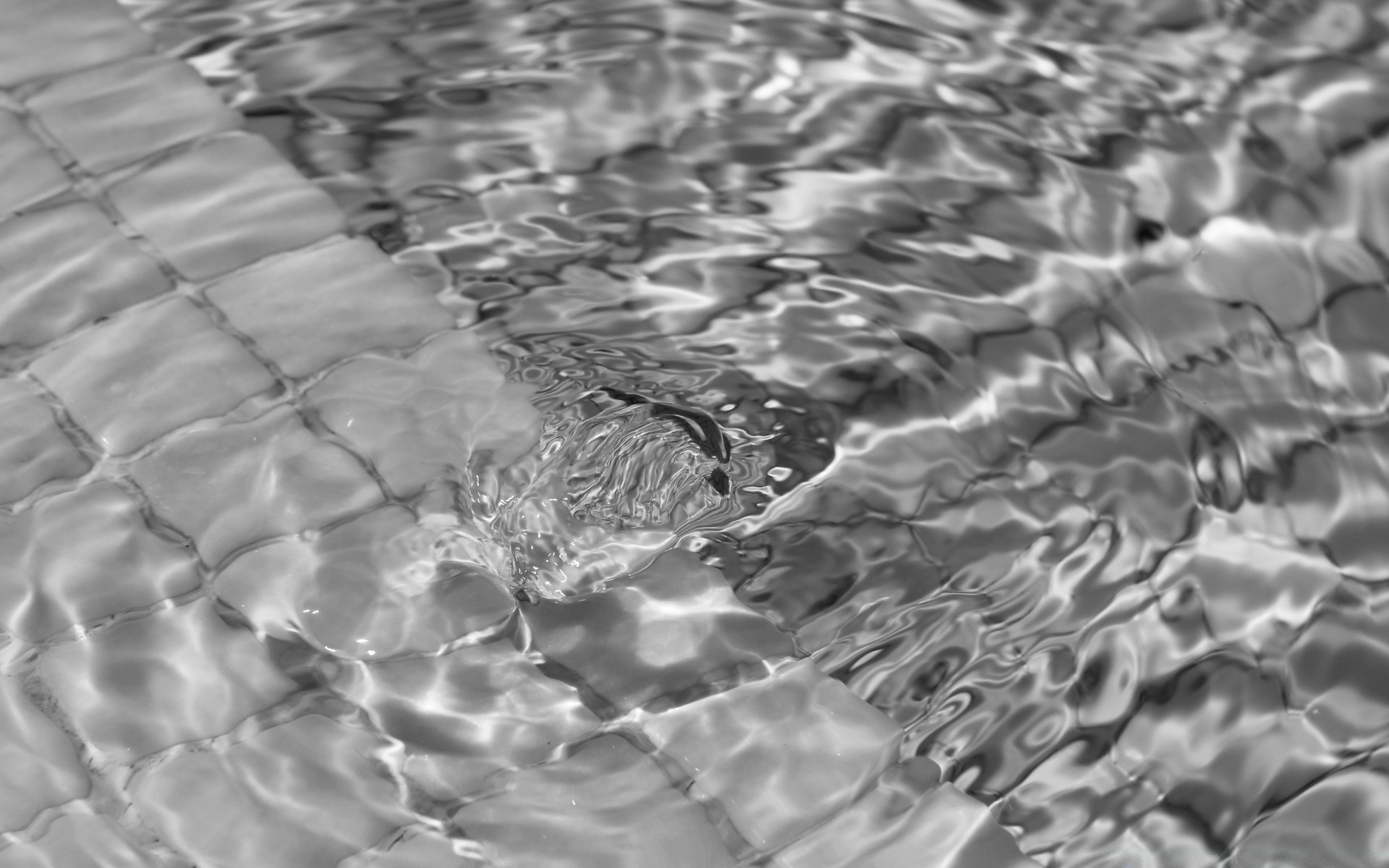 black and white nature water desktop abstract texture reflection pattern surface wet