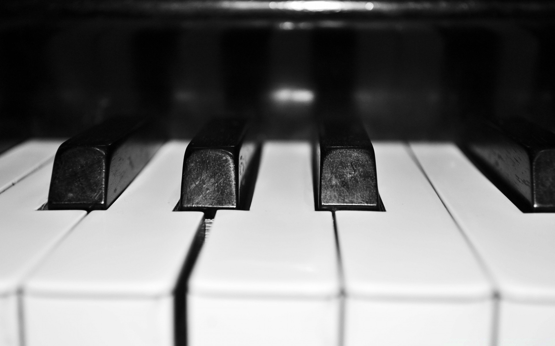 blanco y negro piano gato ébano instrumento sonido sintetizador clave armonía acorde jazz pianista ritmo música teclado canción acústica clásico concierto jugar