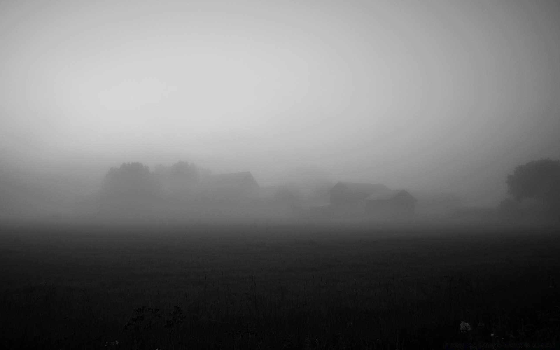 black and white fog monochrome mist landscape moon art storm rain tree sky weather