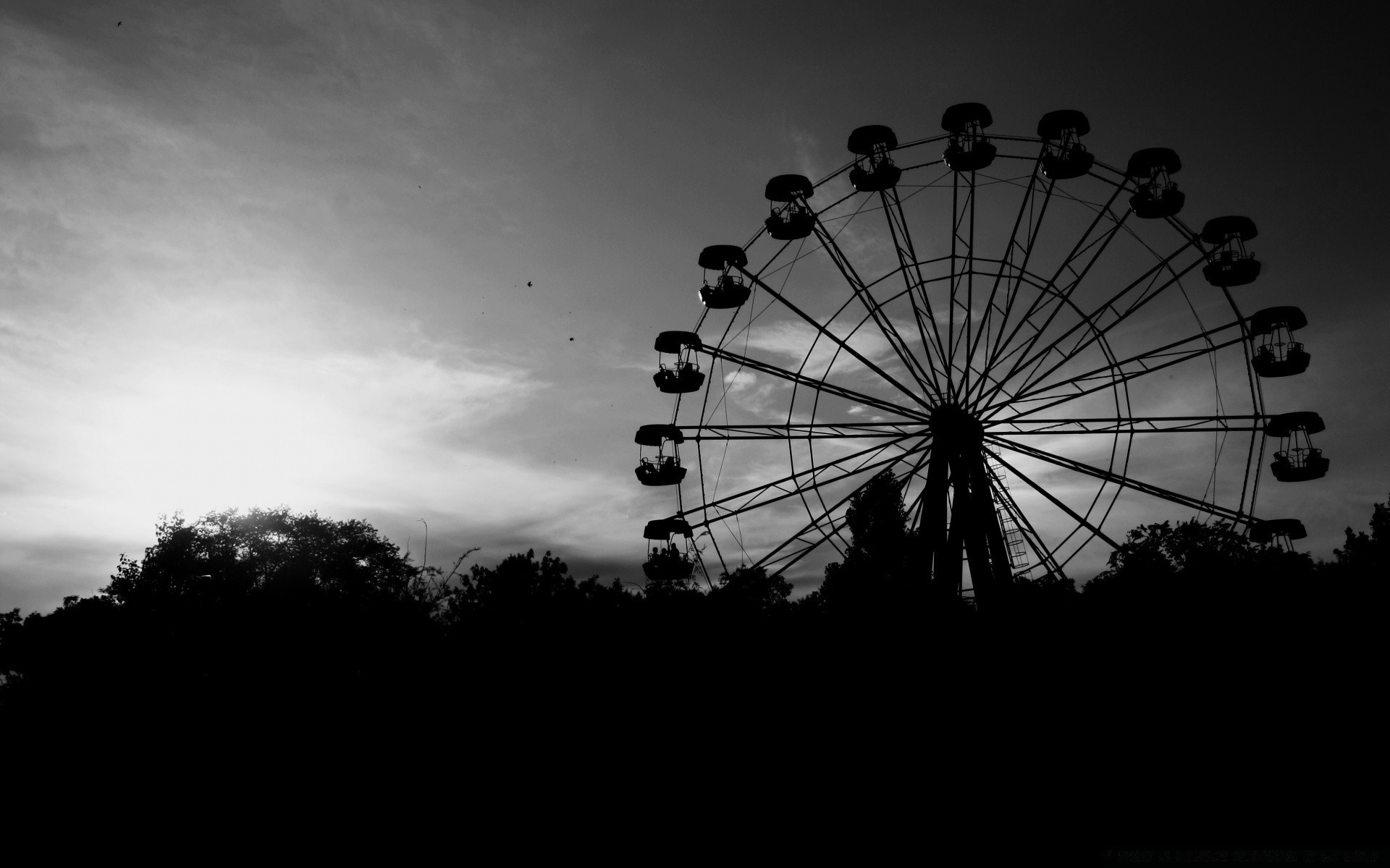 schwarz und weiß silhouette himmel räder riesenrad baum festival licht karussell