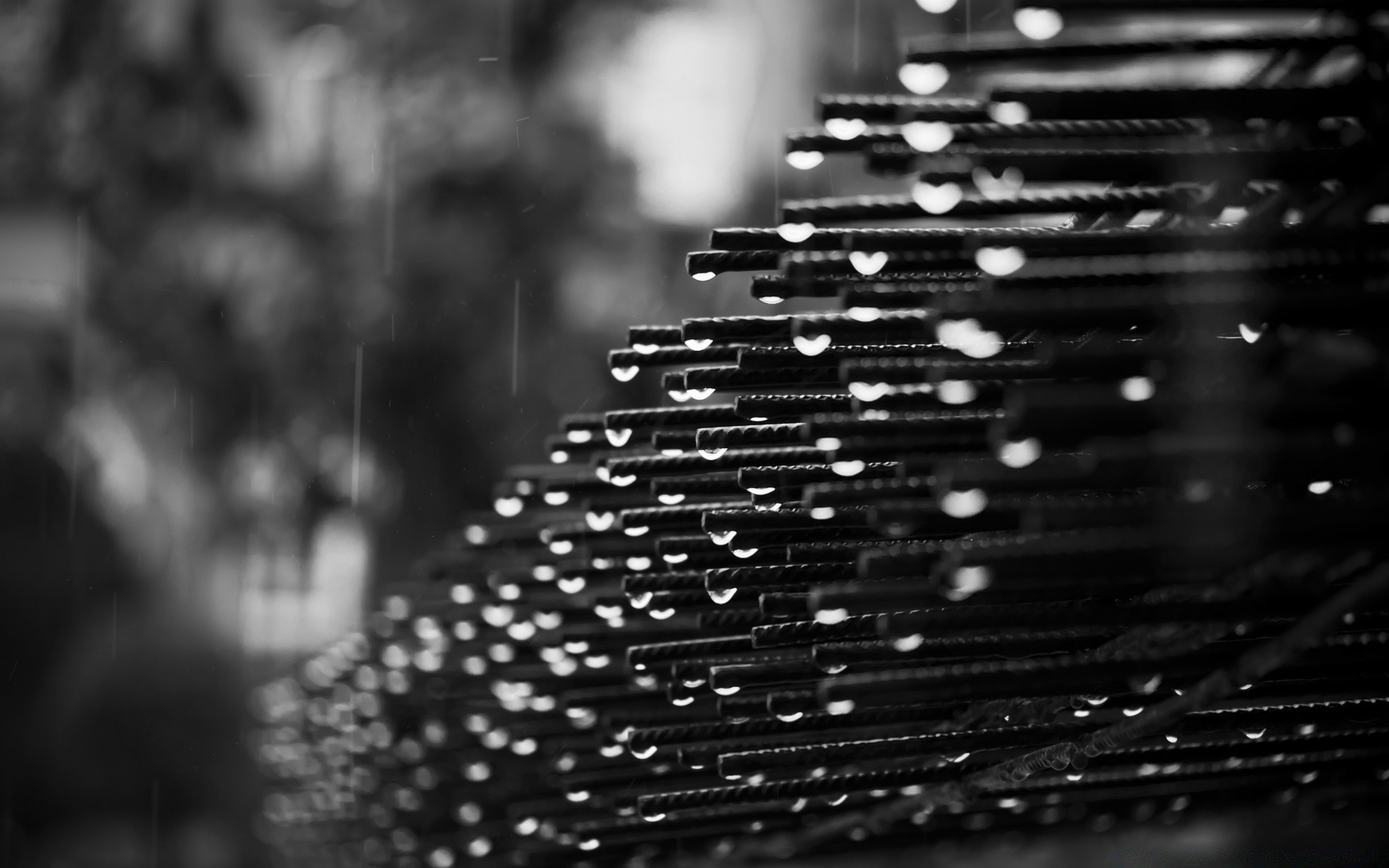 black and white monochrome reflection city abstract blur rain street