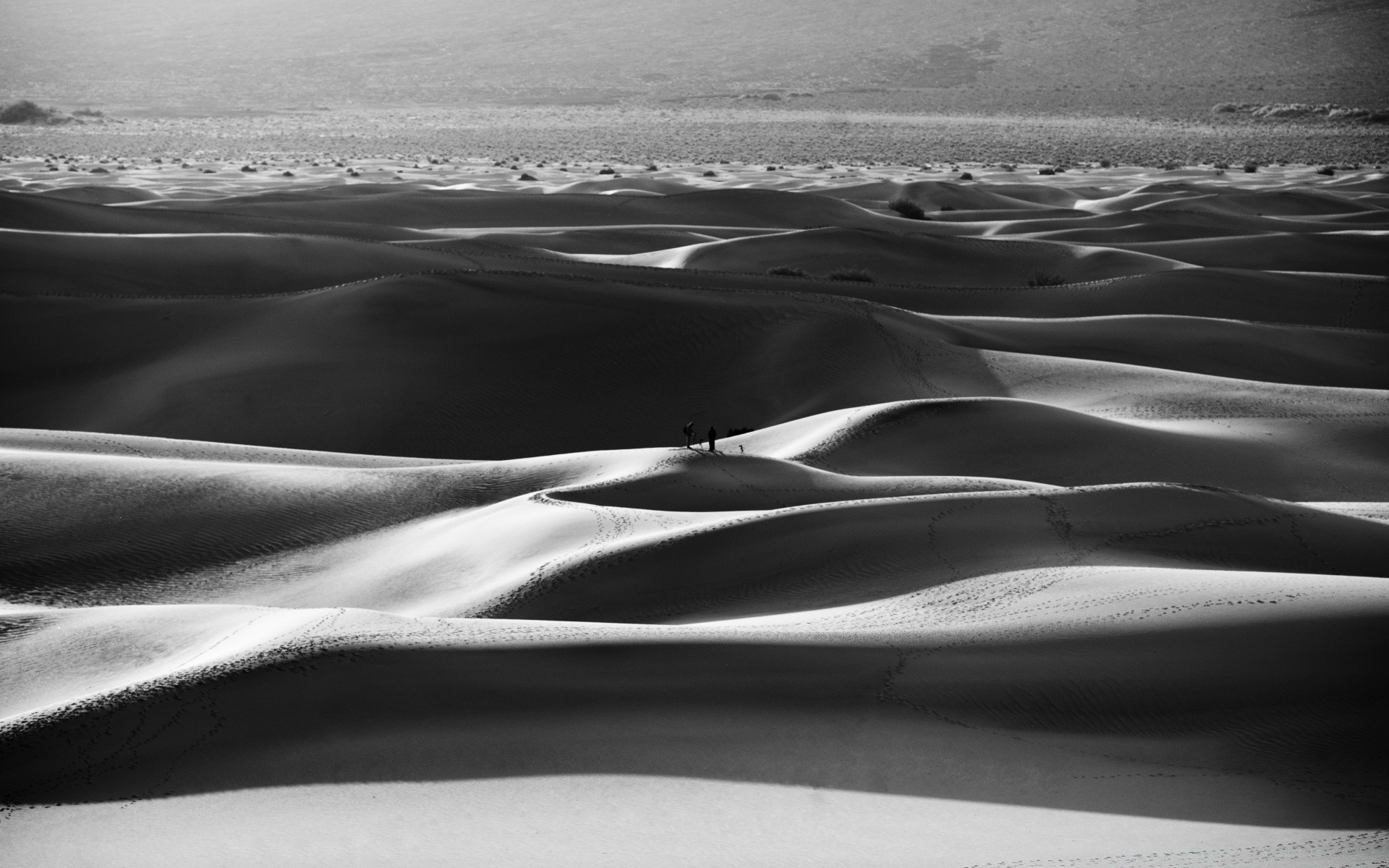 bianco e nero spiaggia sabbia mare mare monocromatico oceano paesaggio acqua onda deserto dune viaggi ombra paesaggio