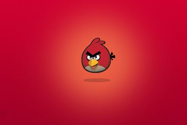 Red bird from the game angry birds on a red background