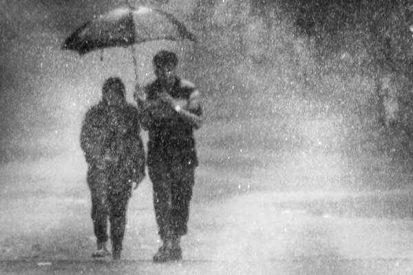 An adult carries an umbrella in the spray of a car