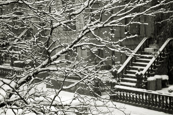 Black and white winter on a city street