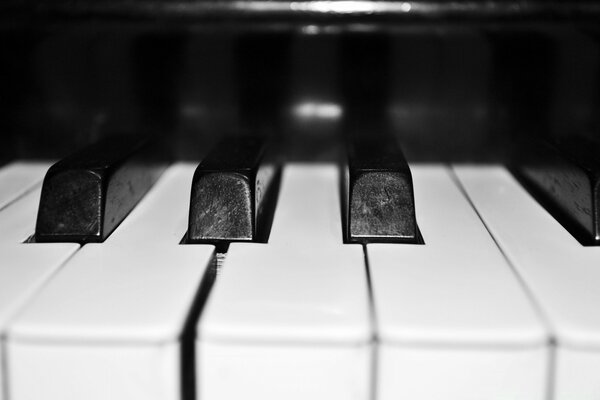 Instrumento de piano blanco y negro