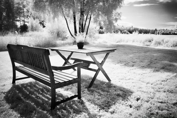 Black and white photo of a bench and a table in nature