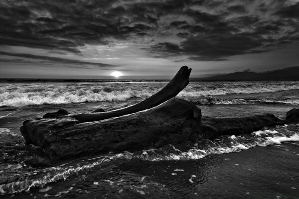 Black and white beach on the sea