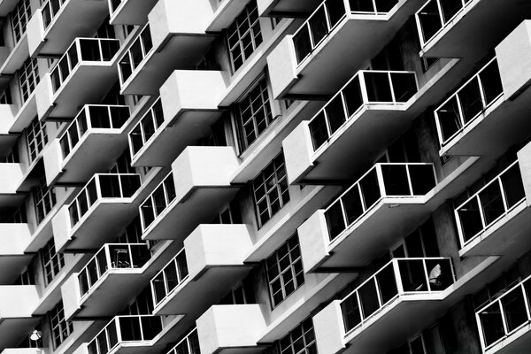 Foto en blanco y negro arquitectura de la ventana