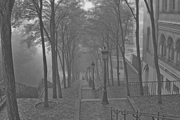 La niebla de otoño cubre árboles y escaleras