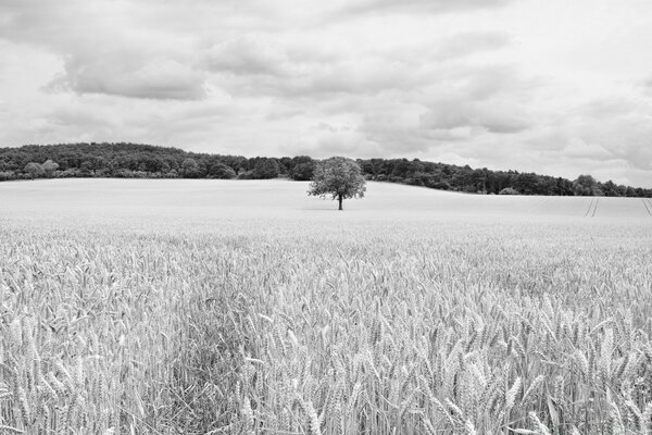 Landwirtschaft ist der Stolz des Landes